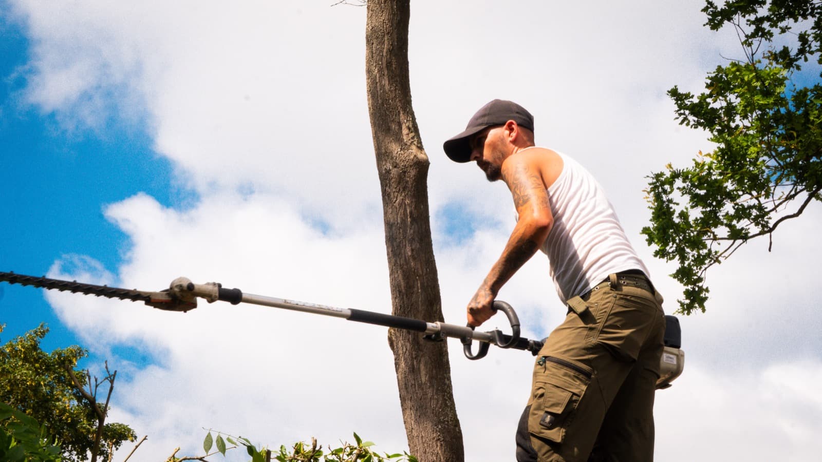 Trimming at height with a pole pruner, shot from below against the sky